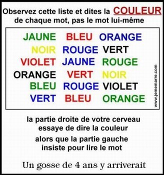 cerveau